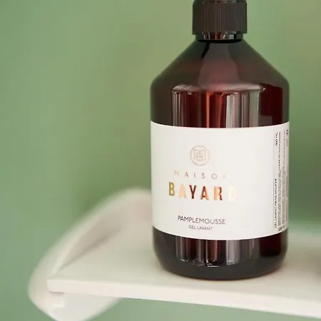 Maison Bayard شقة *