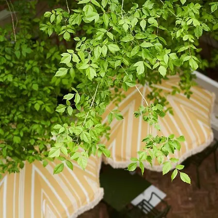 شقة Maison Bayard